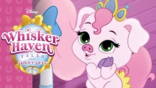 Helping Hooves | Whisker Haven Tales with the Palace Pets | Disney Junior