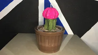 DIY Candle making Pots and Cactus Candle