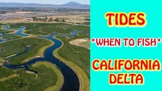 TIDES & WHEN TO FISH - CA Delta (Boat Positioning, Water Velocity, Shallow v Deep Waters): Part 1