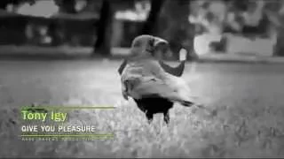 Rave Ravens Feat. Tony Igy - Give You Pleasure