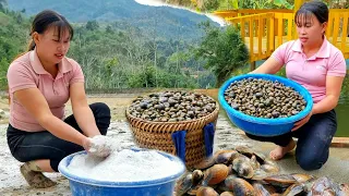 Catch snails to sell at the market, use lime to disinfect ponds - colorful life