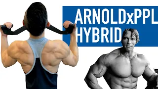 Push Pull Legs x Arnold Split | Full Beginner Program Explained