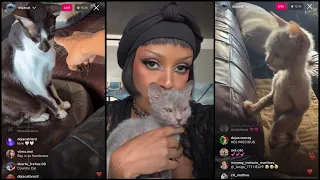 Doja Cat with her Cats - Instagram Live (Jun 24, 2023)