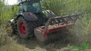 Servicii de defrișare a terenurilor agricole / Curățire terenuri agricole / Utilaje moderne