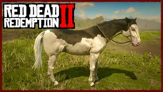 RDR2 This Is The Only Fearless Horse Red Dead Redemption 2