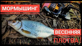 Мормышинг ! Весенняя плотва !