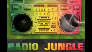 Drum and Bass ragga jungle mix - The best