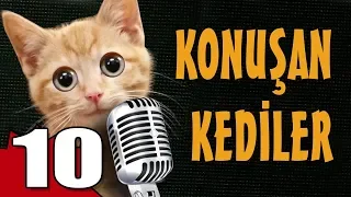 Konuşan Kediler 10 - En Komik Kedi Videoları