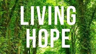 Living Hope, words & music by Brian Johnson and Phil Wickham, Kenon D. Renfrow, piano