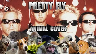 The Offspring - Pretty Fly (Animal Cover)