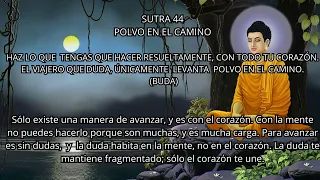 SUTRA 44 - Los 53 Sutras de Sidharta Gautama Buda