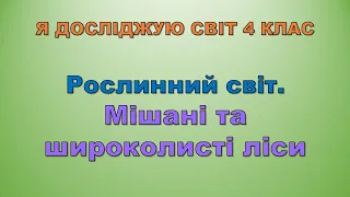 Рослинний світ. Мішаних та широколистих лісів. (Я досліджую світ 4 клас)