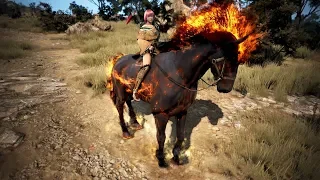 Black Desert - T9 Doom horse preview!
