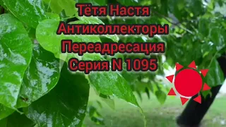 Тётя Настя. Серия N1095. Антиколлекторы. Диалоги с коллекторами. Банками. МФО