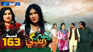 Zahar Zindagi - Ep 163 | Sindh TV Soap Serial | SindhTVHD Drama