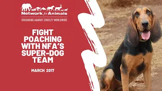 Fight Poaching with NFA’s Super-Dog Team