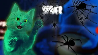 САМОЕ УЖАСНОЕ МЕСТО! Roblox Spider | КОТЁНОК ЗЕЛЁНКА