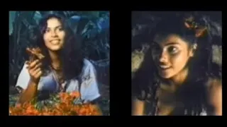 Denise Matthews (Vanity) in "Tanya's Island"  #DeniseMatthews #Vanity