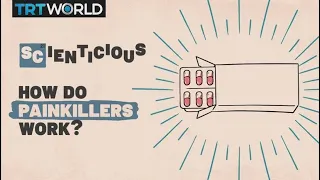 How do painkillers work? | Scienticious - Episode 4