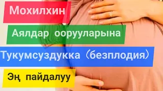 Мохилхин Аялдар оорууларына жана тукумсуздукка эң мыкты даары!!!