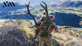 Hunting for RED STAG During The Rut In NEW ZEALAND!!