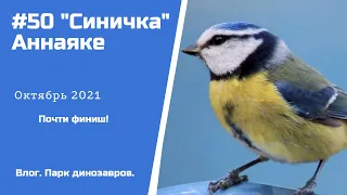 #50 Синичка от Аннаяке // Октябрь //  Кому нужны СХС? Налетай! // #Влог // #ДиноПарк #АннаПарамонова