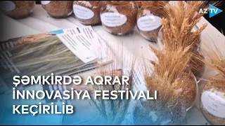 Şəmkirdə Aqrar İnnovasiya Festivalı: innovativ məhsul, avadanlıq və texnologiyalar nümayiş olunub