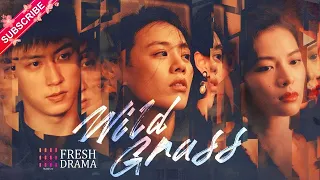 【ENG SUB】Wild Grass | Ma Sichun, Johnny Huang, Elaine Zhong | Fresh Drama