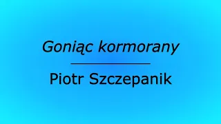 Goniąc kormorany - Piotr Szczepanik (karaoke cover)