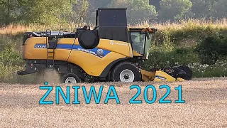 New Holland CX6,80. Żniwa 2021.