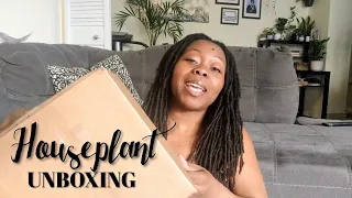 Houseplant Unboxing! | Gro For It