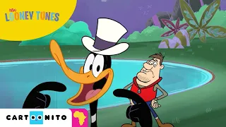 New Looney Tunes | Nature Documentary | Cartoonito Africa