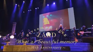 LIVE Blu-ray&DVD『ZARD Streaming LIVE“What a beautiful memory 〜 30th Anniversary 〜 ”』ダイジェスト