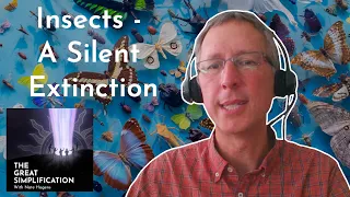 Nick Haddad: "Insects - A Silent Extinction" | The Great Simplification #90