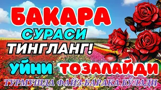 Бақара сураси Уйга ШАЙТОН кирмайди !!! Baqara surasi БАКАРА BAQARAH | БУ СУРАНИ УҚИНГ