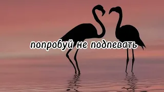 🦩 попробуй не подпевать 🦩 Попробуй. Уровень сложный. Сможешь...