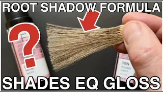 EP 7 - The ULTIMATE Shades EQ Gloss shadow root formula...add dimension to blonde hair color