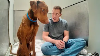 Watch his reaction when he’s told he’s a GOOD BOY for the first time