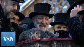 Punxsutawney Phil Predicts More Winter on Groundhog Day