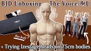 The Voice / 啊U Ying Box Opening + Trying Izestage heads on various 75cm bodies | BJD Unboxing