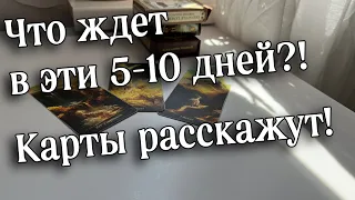 💥Чего ждать через 5 ДНЕЙ❓Карты покажут #скорослучится ♥️♣️♦️♠️