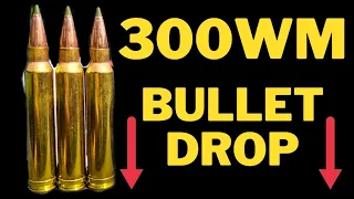 300 Win Mag Bullet Drop - With Holdovers and Dials for MOA and MILS #300wm #300winmag