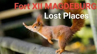 Trailer und Einleitung Fort XII “Magdeburg lost Place“