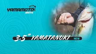 The new Yamamoto Yamatanuki!