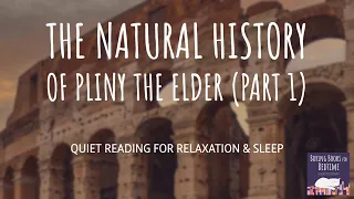 The Natural History of Pliny the Elder, Part 2 | ASMR Quiet Reading for Relaxation & Sleep