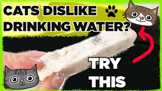 How to Encourage Cats to Drink Water