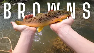 Fly Fishing a River Close to Home | Fly Fishing California