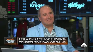 Tesla's having an AWS or Apple Services moment, says Wedbush Securities' Dan Ives