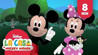 Celebremos a las mascotas | La casa de Mickey Mouse