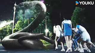 Python attacks beauties, but they fight back! | Rising Boas in a Girl's School |YOUKU MONSTER MOVIE